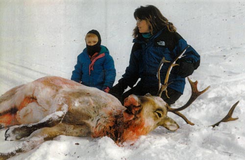 sarah-palin-moose-hunting.jpg